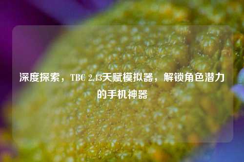 深度探索，TBC 2.43天赋模拟器，解锁角色潜力的手机神器