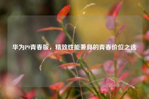 华为P9青春版,精致性能兼具的青春价位之选