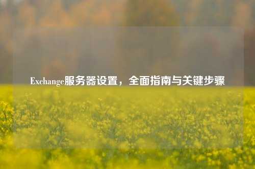 Exchange服务器设置，全面指南与关键步骤