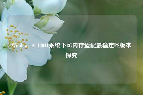 Windows 10 10041系统下8G内存适配最稳定PS版本探究