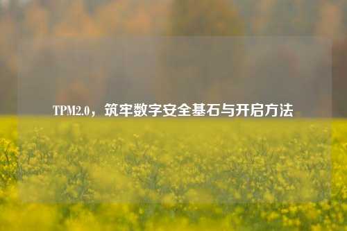 TPM2.0，筑牢数字安全基石与开启方法