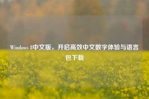 Windows 8中文版，开启高效中文数字体验与语言包下载