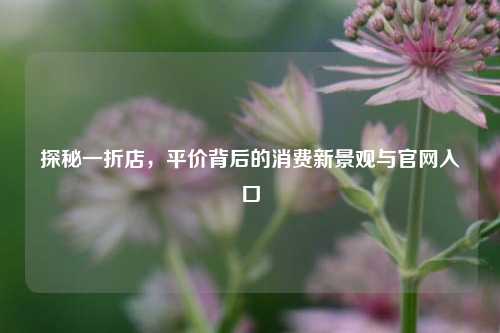 探秘一折店，平价背后的消费新景观与官网入口